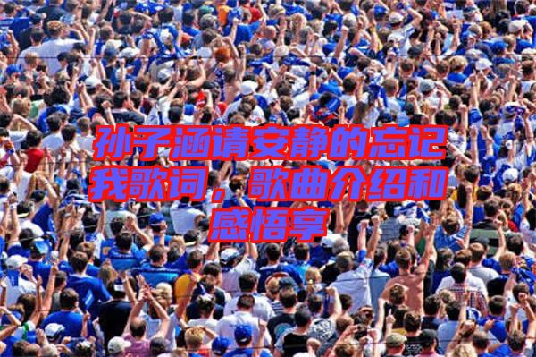 孫子涵請安靜的忘記我歌詞，歌曲介紹和感悟享