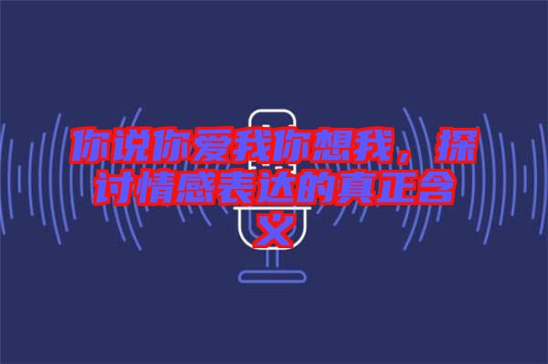 你說你愛我你想我，探討情感表達(dá)的真正含義