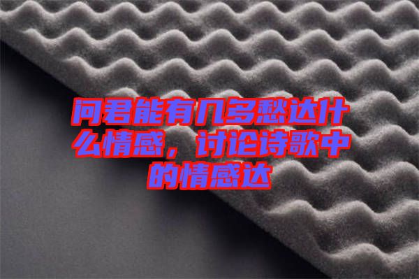問君能有幾多愁達(dá)什么情感，討論詩歌中的情感達(dá)