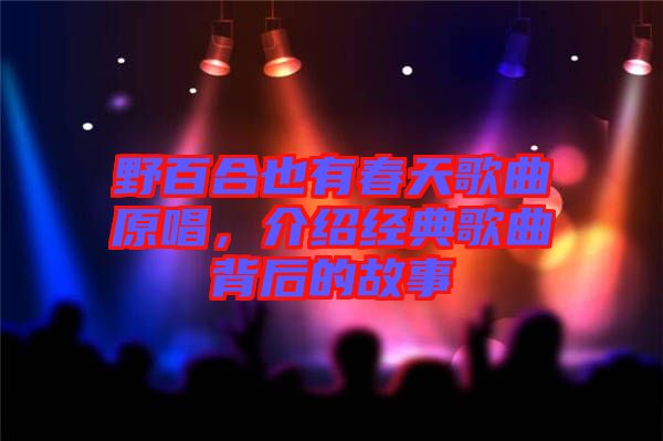 野百合也有春天歌曲原唱，介紹經典歌曲背后的故事