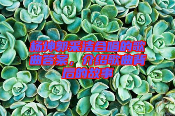 楊坤郭采潔合唱的歌曲答案，介紹歌曲背后的故事