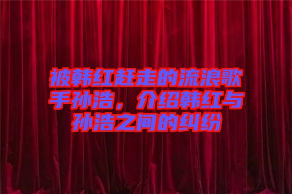 被韓紅趕走的流浪歌手孫浩，介紹韓紅與孫浩之間的糾紛