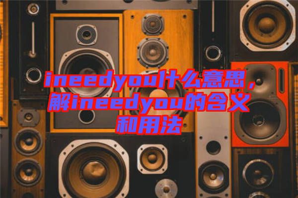 ineedyou什么意思，解ineedyou的含義和用法