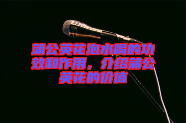 蒲公英花泡水喝的功效和作用，介紹蒲公英花的價值