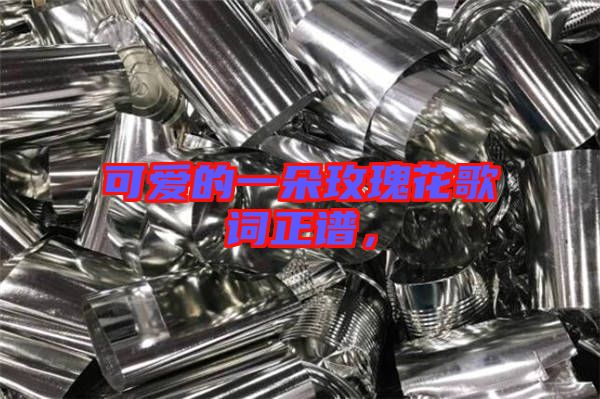 可愛的一朵玫瑰花歌詞正譜，