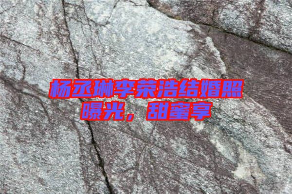 楊丞琳李榮浩結(jié)婚照曝光，甜蜜享