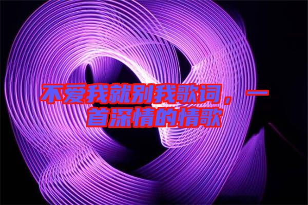 不愛我就別我歌詞，一首深情的情歌