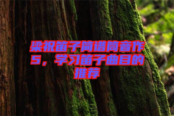 梁祝笛子簡(jiǎn)譜筒音作5，學(xué)習(xí)笛子曲目的推薦