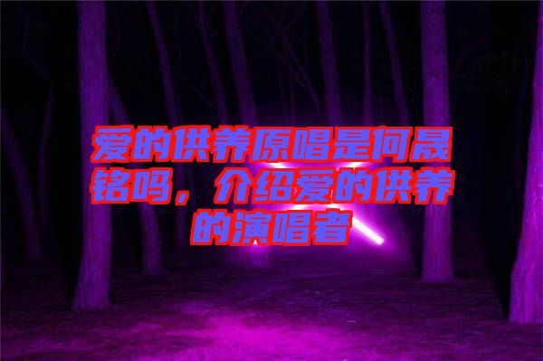 愛(ài)的供養(yǎng)原唱是何晟銘嗎，介紹愛(ài)的供養(yǎng)的演唱者