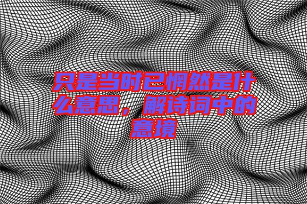只是當時已惘然是什么意思，解詩詞中的意境