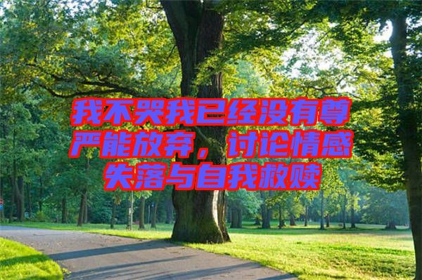 我不哭我已經(jīng)沒有尊嚴能放棄，討論情感失落與自我救贖