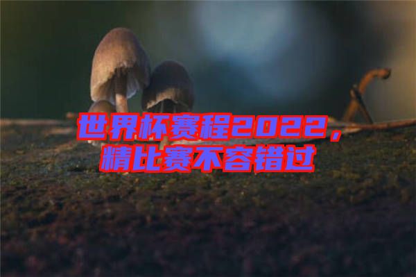 世界杯賽程2022，精比賽不容錯(cuò)過