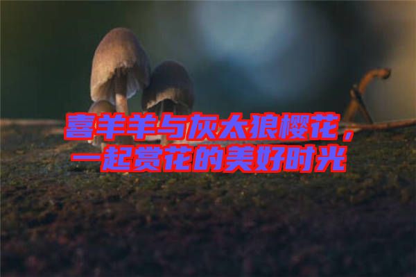喜羊羊與灰太狼櫻花，一起賞花的美好時光
