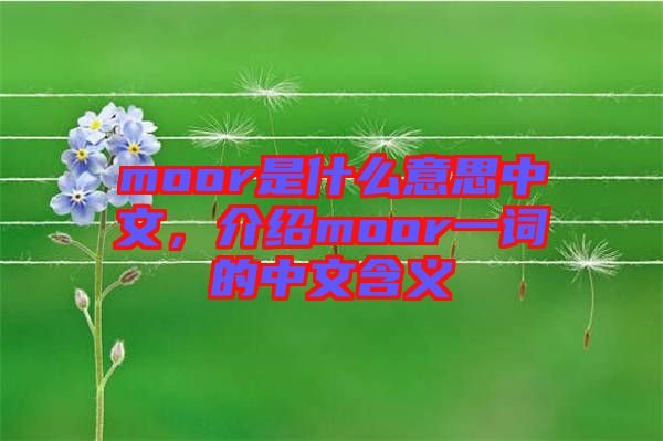 moor是什么意思中文，介紹moor一詞的中文含義