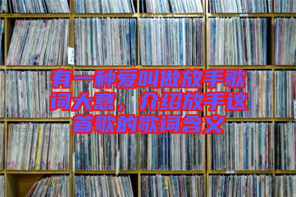 有一種愛叫做放手歌詞大意，介紹放手這首歌的歌詞含義
