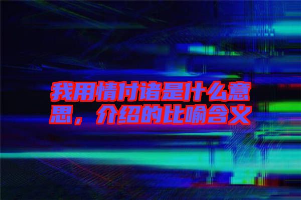 我用情付諸是什么意思，介紹的比喻含義