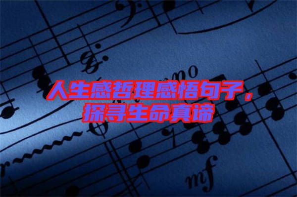 人生感哲理感悟句子，探尋生命真諦
