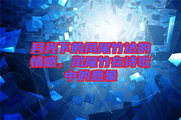 月光下的鳳尾竹達(dá)的情感，鳳尾竹在詩歌中的意象