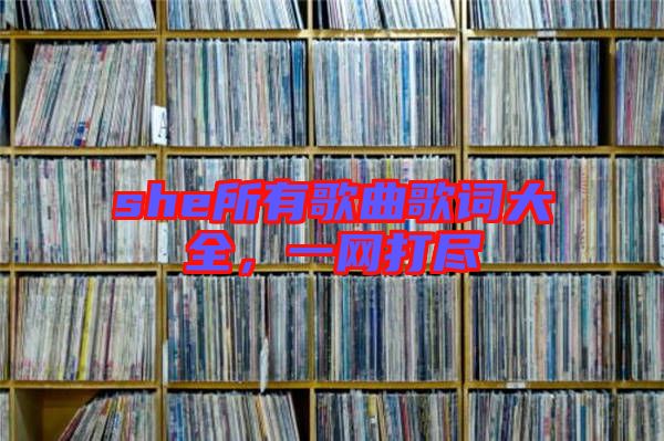 she所有歌曲歌詞大全，一網(wǎng)打盡