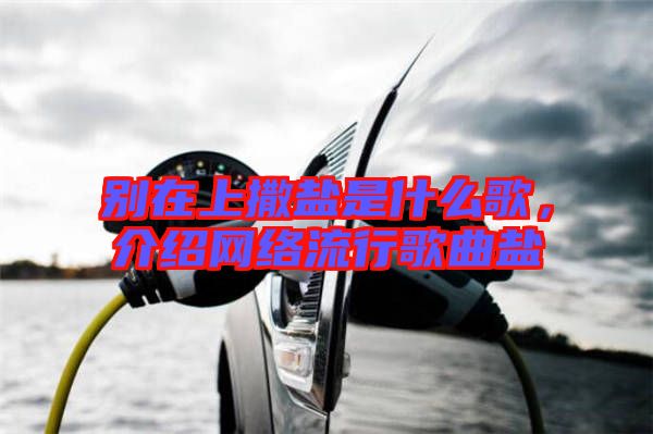 別在上撒鹽是什么歌，介紹網(wǎng)絡(luò)流行歌曲鹽