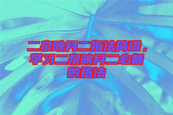二泉映月二指法簡(jiǎn)譜，學(xué)習(xí)二泉映月二必備的指法