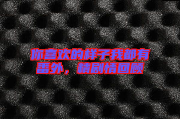 你喜歡的樣子我都有番外，精劇情回顧