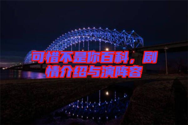 可惜不是你百科，劇情介紹與演陣容