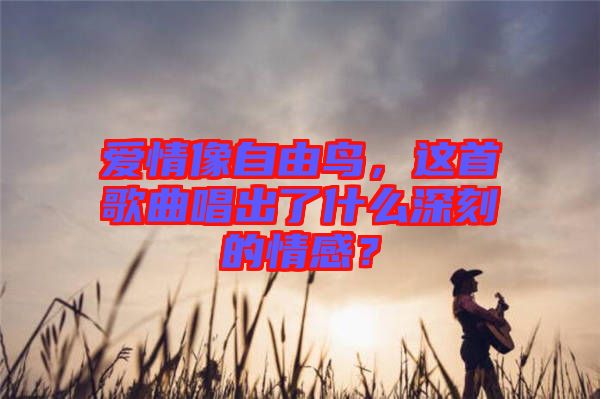 愛(ài)情像自由鳥(niǎo)，這首歌曲唱出了什么深刻的情感？