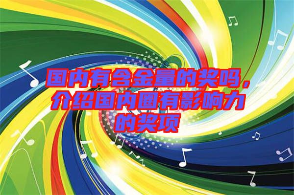 國內(nèi)有含金量的獎(jiǎng)嗎，介紹國內(nèi)圈有影響力的獎(jiǎng)項(xiàng)
