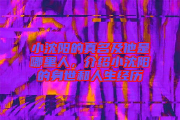 小沈陽(yáng)的真名及他是哪里人，介紹小沈陽(yáng)的身世和人生經(jīng)歷