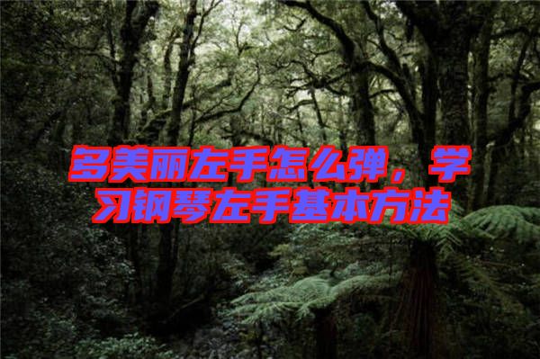 多美麗左手怎么彈，學(xué)習(xí)鋼琴左手基本方法