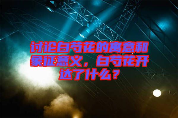 討論白芍花的寓意和象征意義，白芍花開達(dá)了什么？
