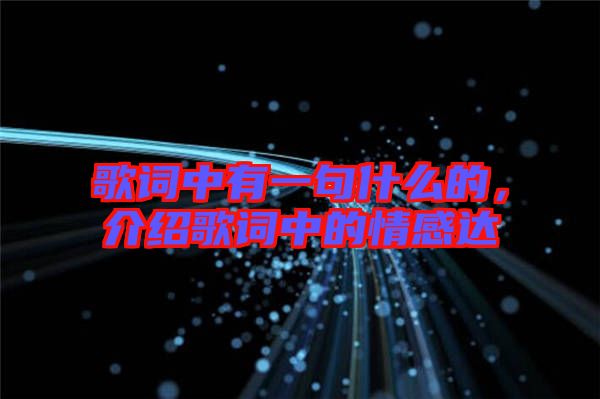歌詞中有一句什么的，介紹歌詞中的情感達(dá)