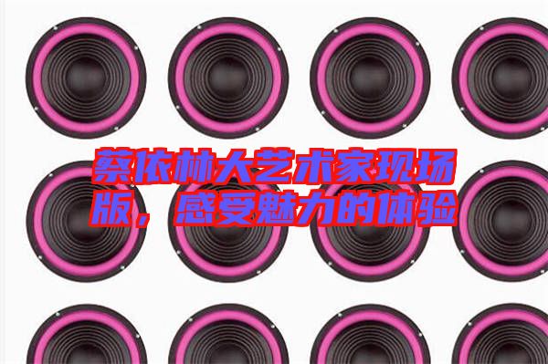 蔡依林大藝術家現(xiàn)場版，感受魅力的體驗