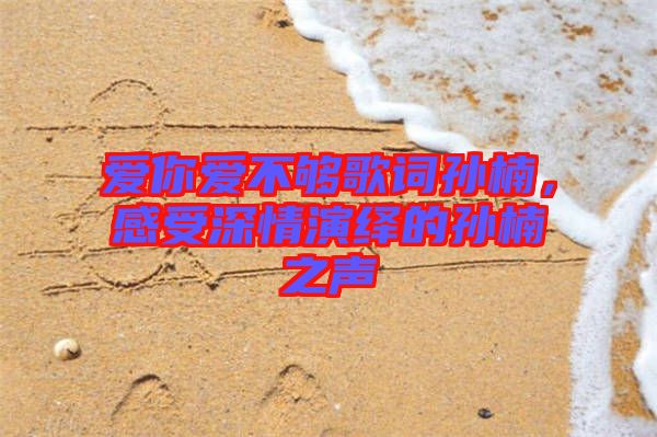 愛你愛不夠歌詞孫楠，感受深情演繹的孫楠之聲