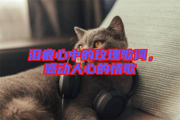 淚痕心中的玫瑰歌詞，感動(dòng)人心的情歌