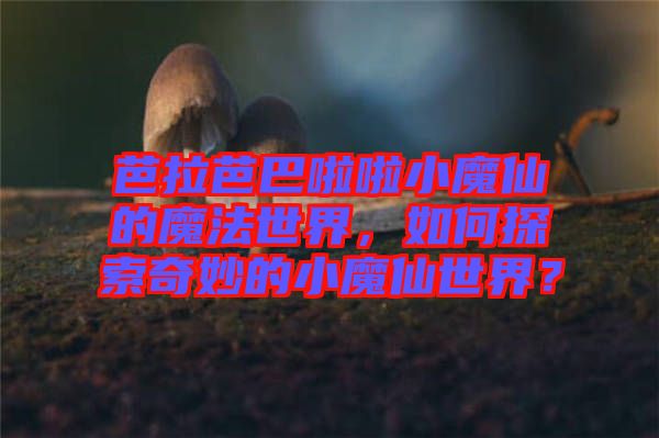 芭拉芭巴啦啦小魔仙的魔法世界，如何探索奇妙的小魔仙世界？