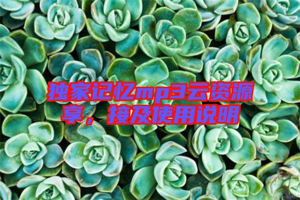 獨(dú)家記憶mp3云資源享，接及使用說(shuō)明