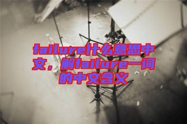 failure什么意思中文，解failure一詞的中文含義