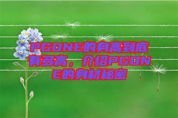 PGONE的身高到底有多高，介紹PGONE的身材秘密