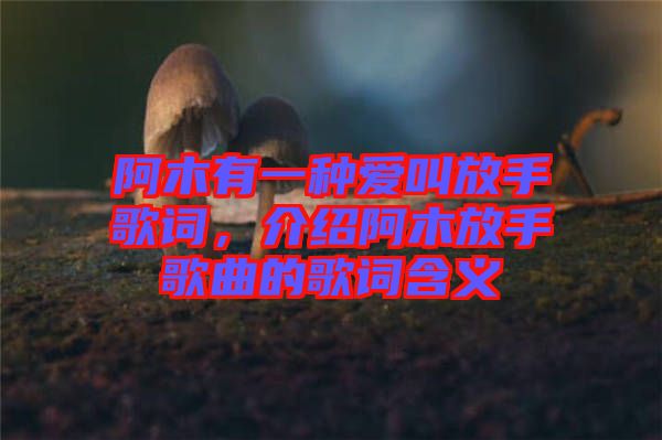 阿木有一種愛叫放手歌詞，介紹阿木放手歌曲的歌詞含義