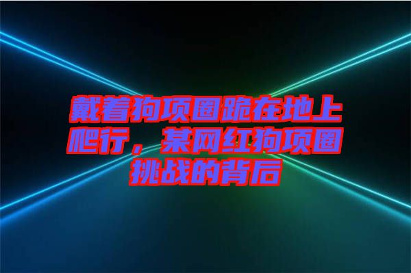 戴著狗項圈跪在地上爬行，某網(wǎng)紅狗項圈挑戰(zhàn)的背后