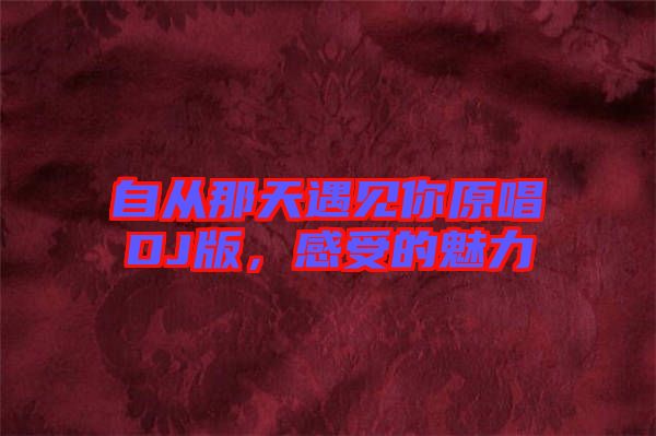 自從那天遇見(jiàn)你原唱DJ版，感受的魅力