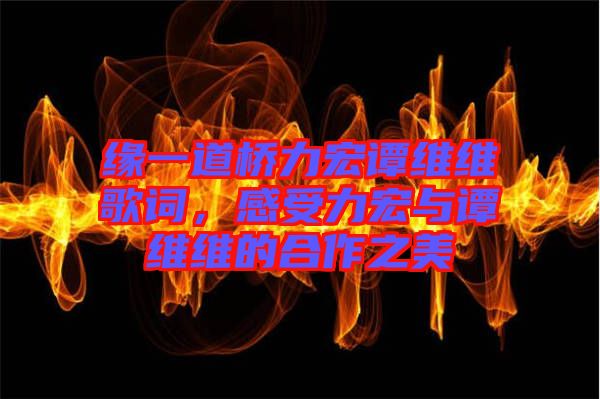 緣一道橋力宏譚維維歌詞，感受力宏與譚維維的合作之美