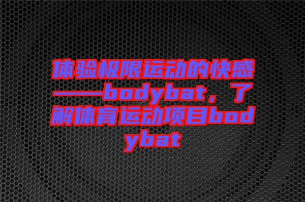 體驗(yàn)極限運(yùn)動的快感——bodybat，了解體育運(yùn)動項(xiàng)目bodybat