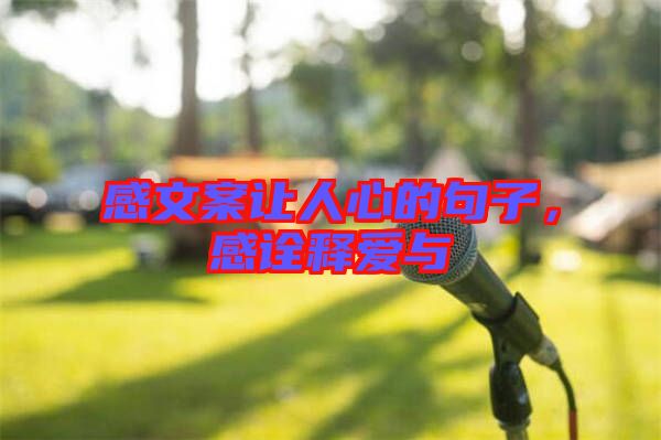 感文案讓人心的句子，感詮釋愛(ài)與