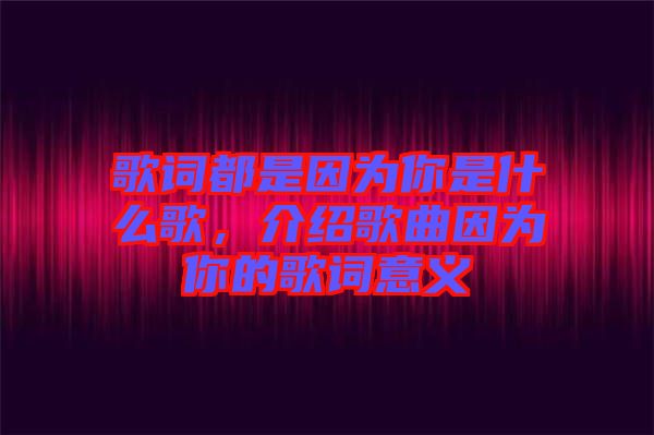 歌詞都是因為你是什么歌，介紹歌曲因為你的歌詞意義