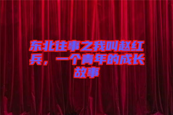 東北往事之我叫趙紅兵，一個青年的成長故事