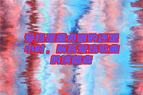 愛殤是董貞唱的還是小時(shí)，解答愛殤歌曲的演唱者