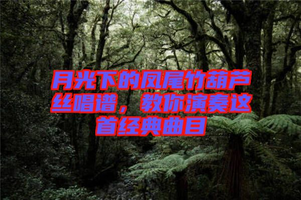 月光下的鳳尾竹葫蘆絲唱譜，教你演奏這首經(jīng)典曲目